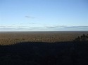 DSCF2527 (Medium).JPG